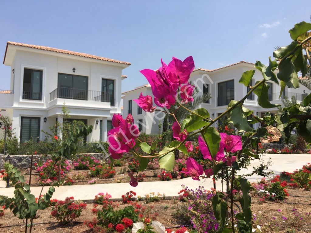 FROM THE OWNER - 2 BEDROOM FLAT WITH MAGNIFICENT GARDEN AT KIBRIS TOWN HOUSE