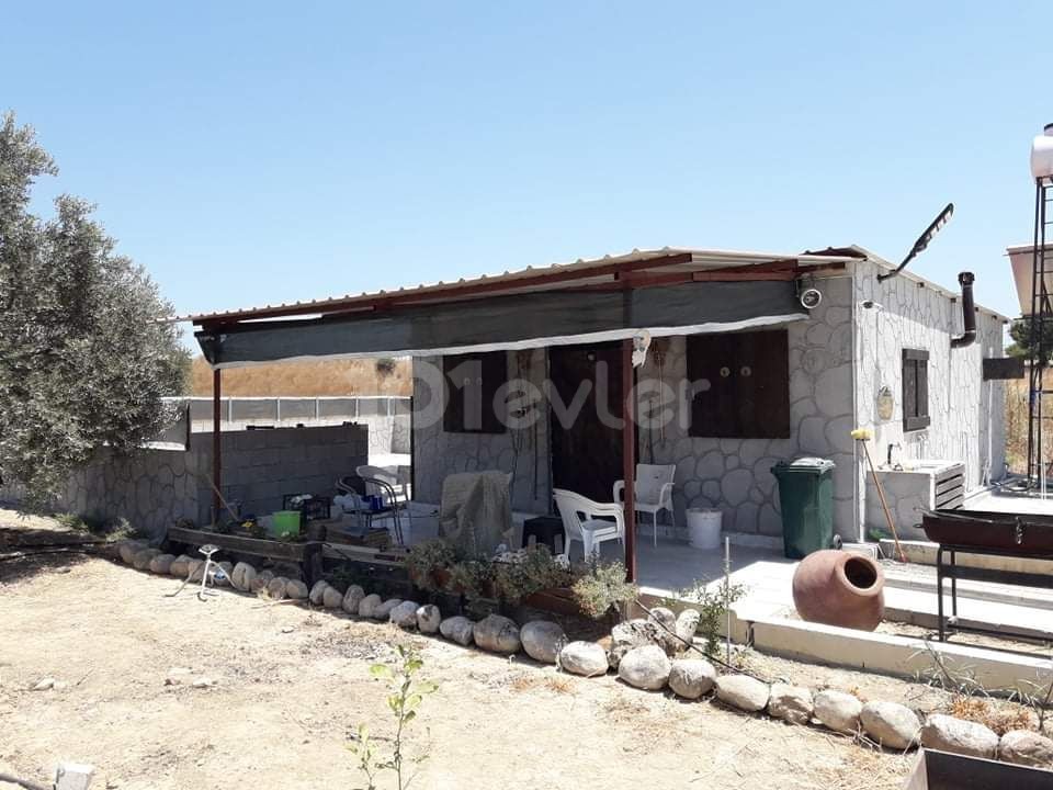 TRADITIONAL CYPRIOT HOUSE IN THE VILLAGE OF TUZLUCA ** 