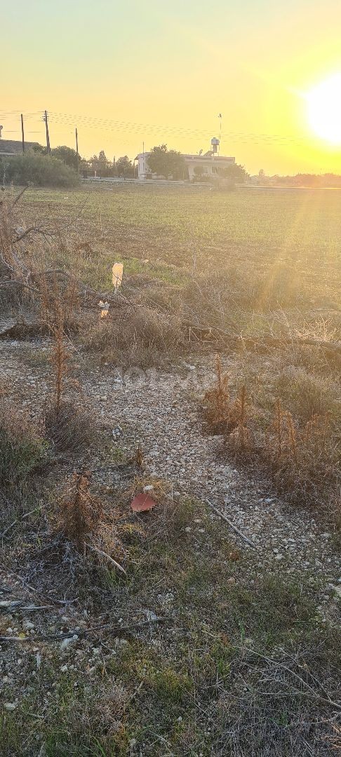 3+1 2 STOCKWERK ROHBAU MIT STAHLKONSTRUKTION PROJEKT ZUM VERKAUF IN KUZUCUK DORF