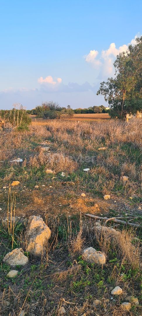 3+1 2 STOCKWERK ROHBAU MIT STAHLKONSTRUKTION PROJEKT ZUM VERKAUF IN KUZUCUK DORF