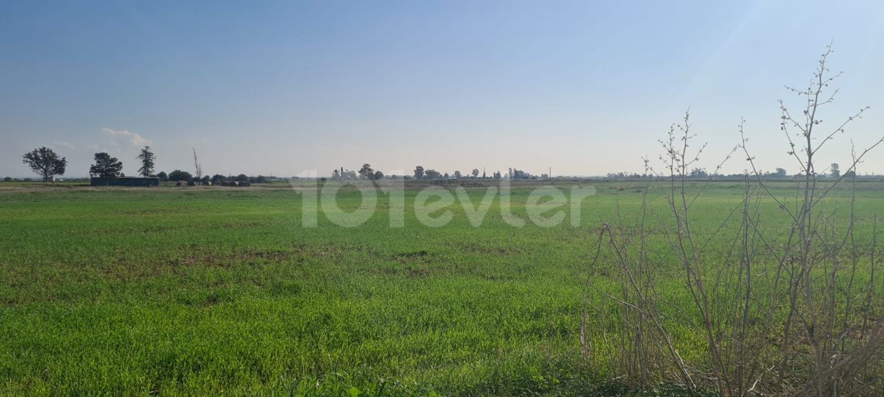 LAND SUITABLE FOR BUILDING A TURKISH KOÇANLI HOUSE FOR SALE IN BEYARMUDU VILLAGE