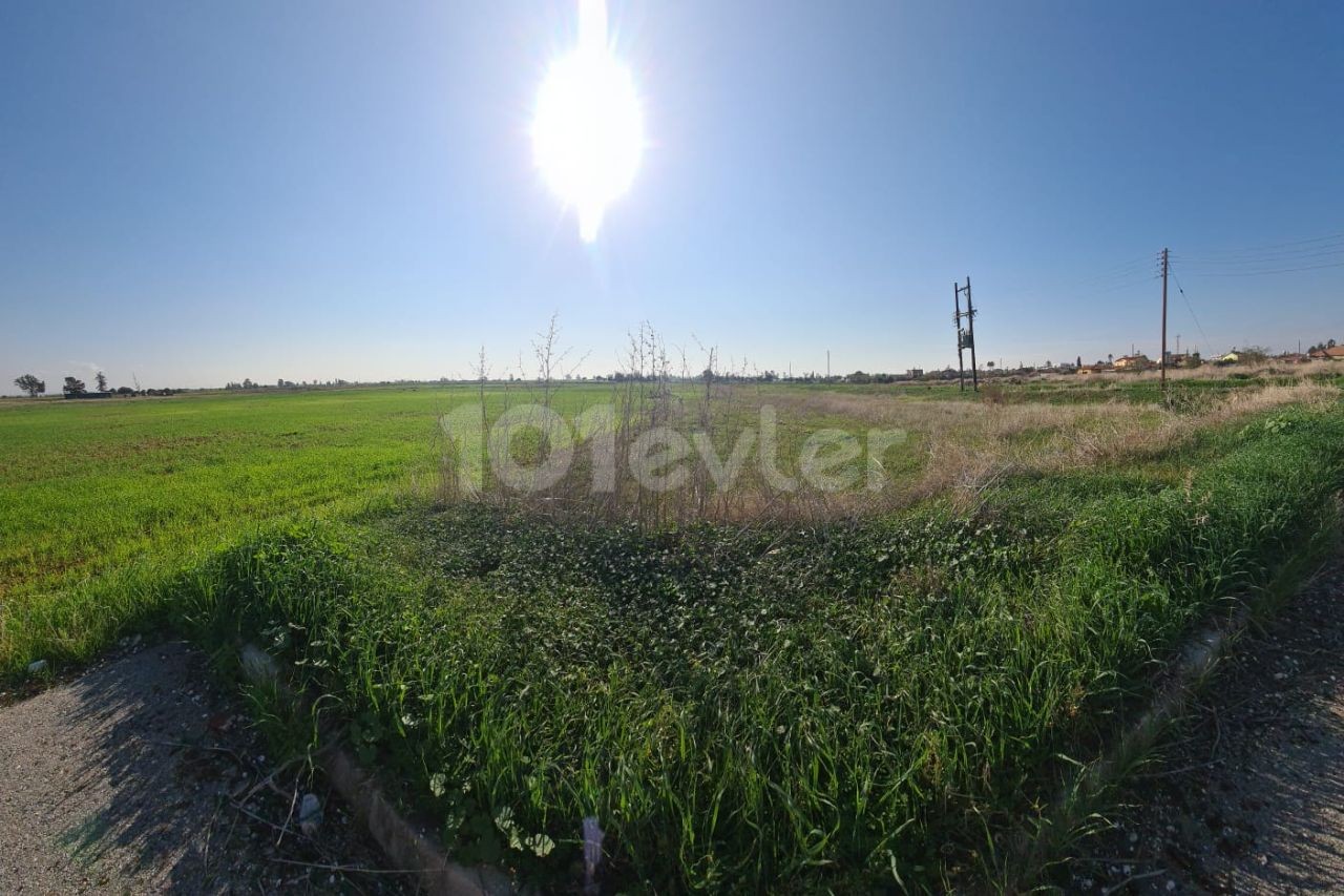 LAND SUITABLE FOR BUILDING A TURKISH KOÇANLI HOUSE FOR SALE IN BEYARMUDU VILLAGE