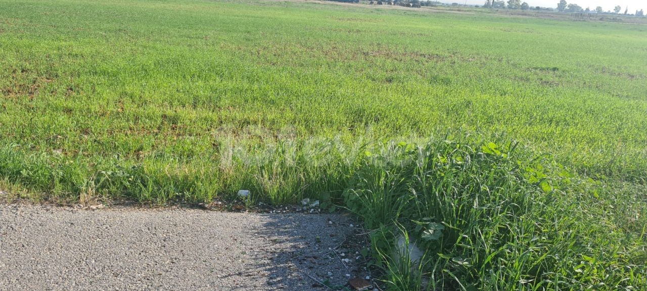 GRUNDSTÜCK, GEEIGNET FÜR DEN BAU EINES TÜRKISCHEN KOÇANLI-HAUSES ZUM VERKAUF IM DORF BEYARMUDU