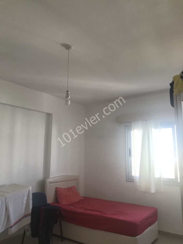 Flat To Rent in Hamitköy, Nicosia