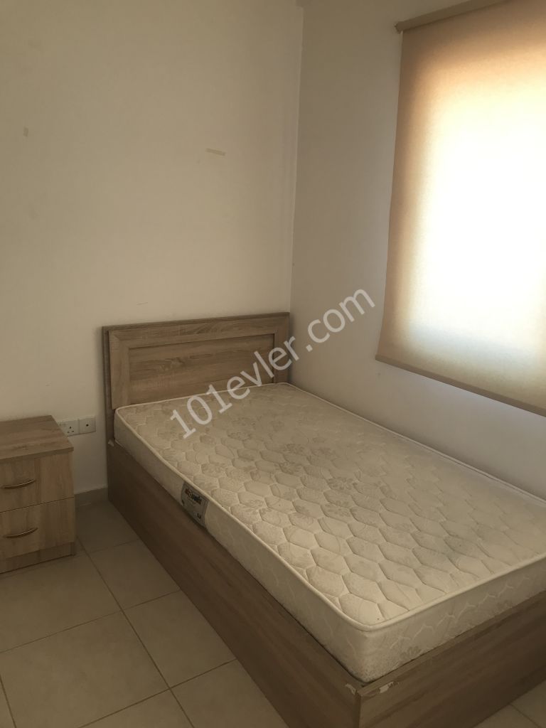 Flat To Rent in Hamitköy, Nicosia