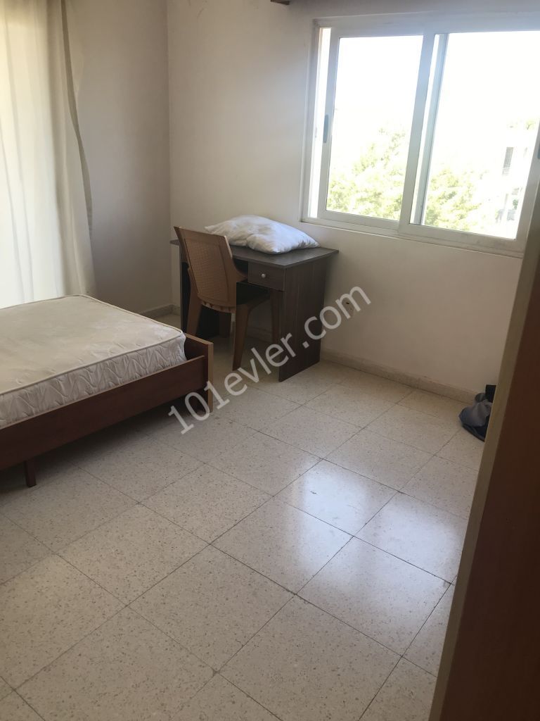 Flat To Rent in Hamitköy, Nicosia