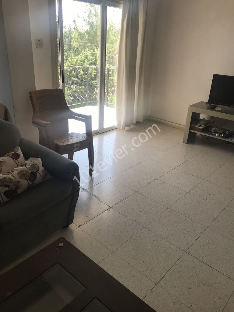 Flat To Rent in Hamitköy, Nicosia