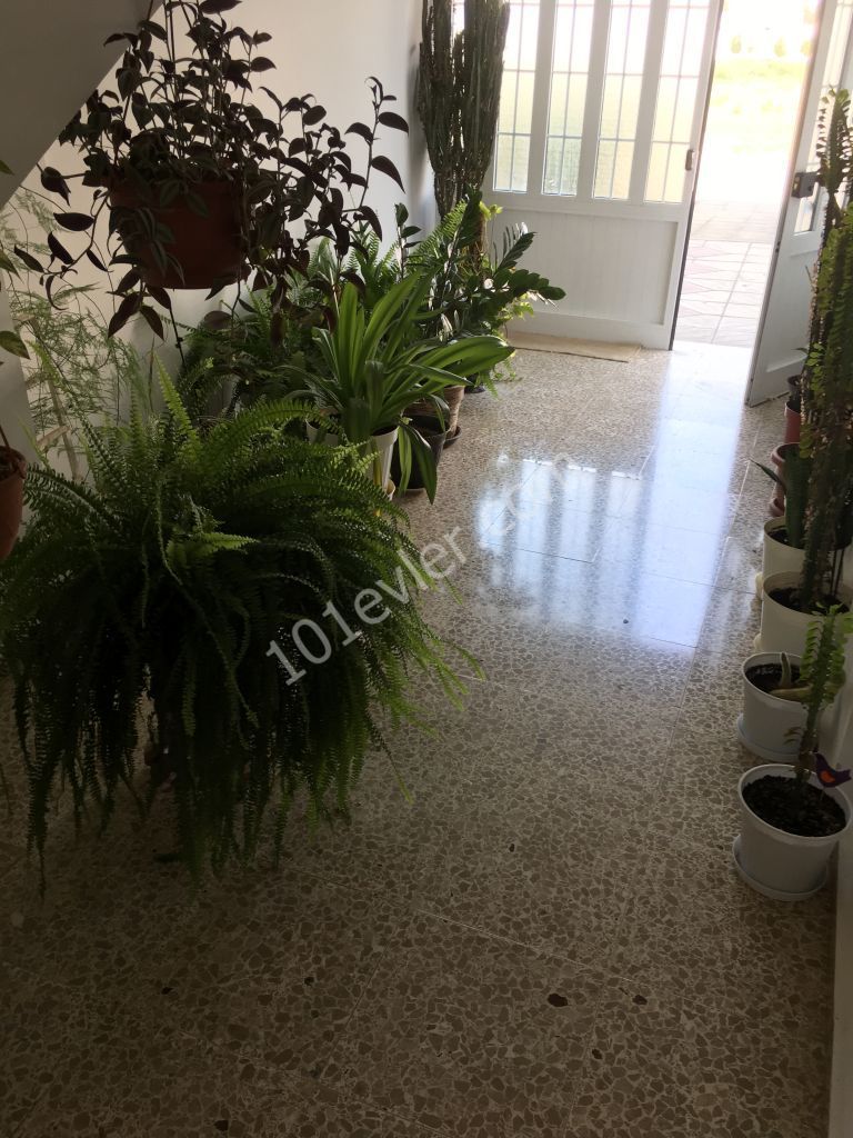 Flat To Rent in Yenikent, Nicosia