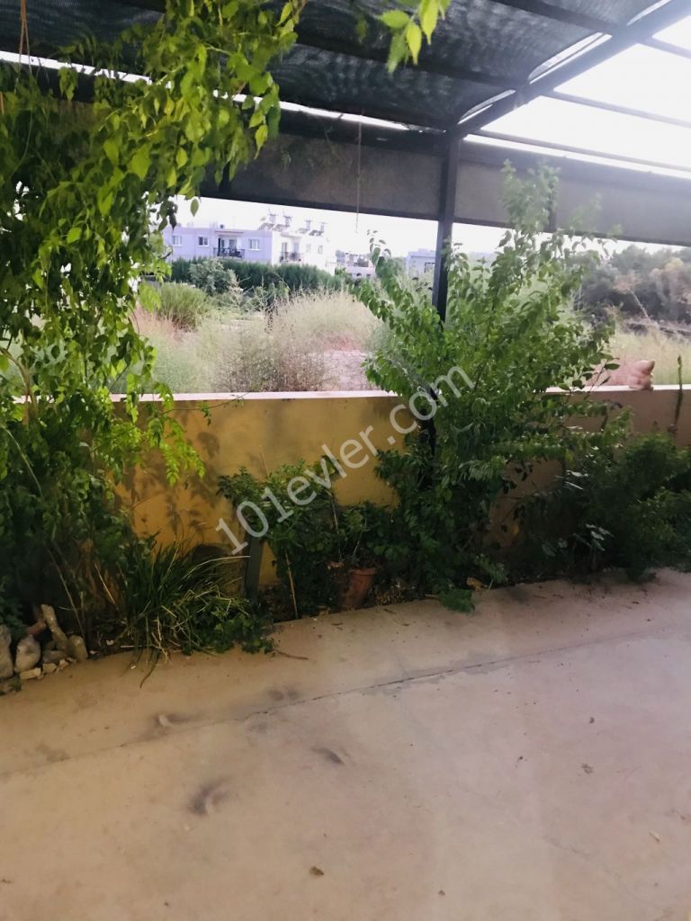 Flat To Rent in Yenikent, Nicosia