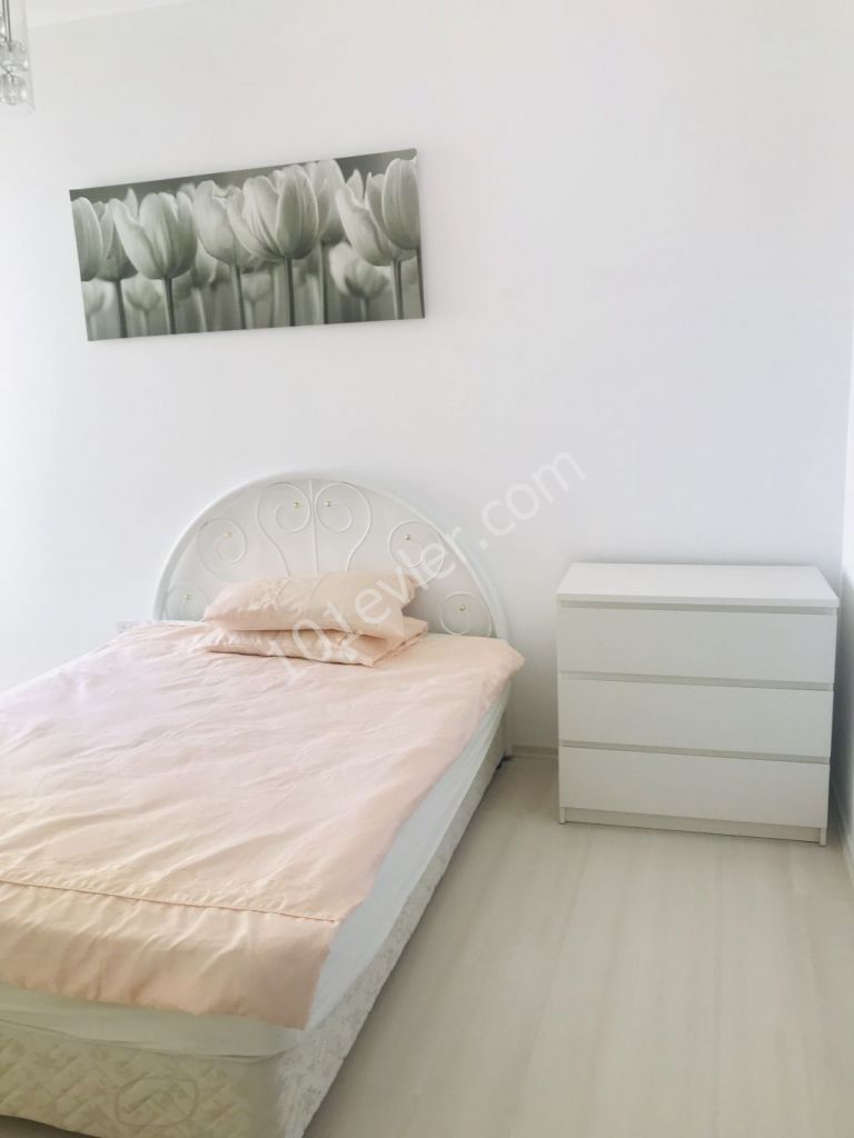 Flat To Rent in Ortaköy, Nicosia