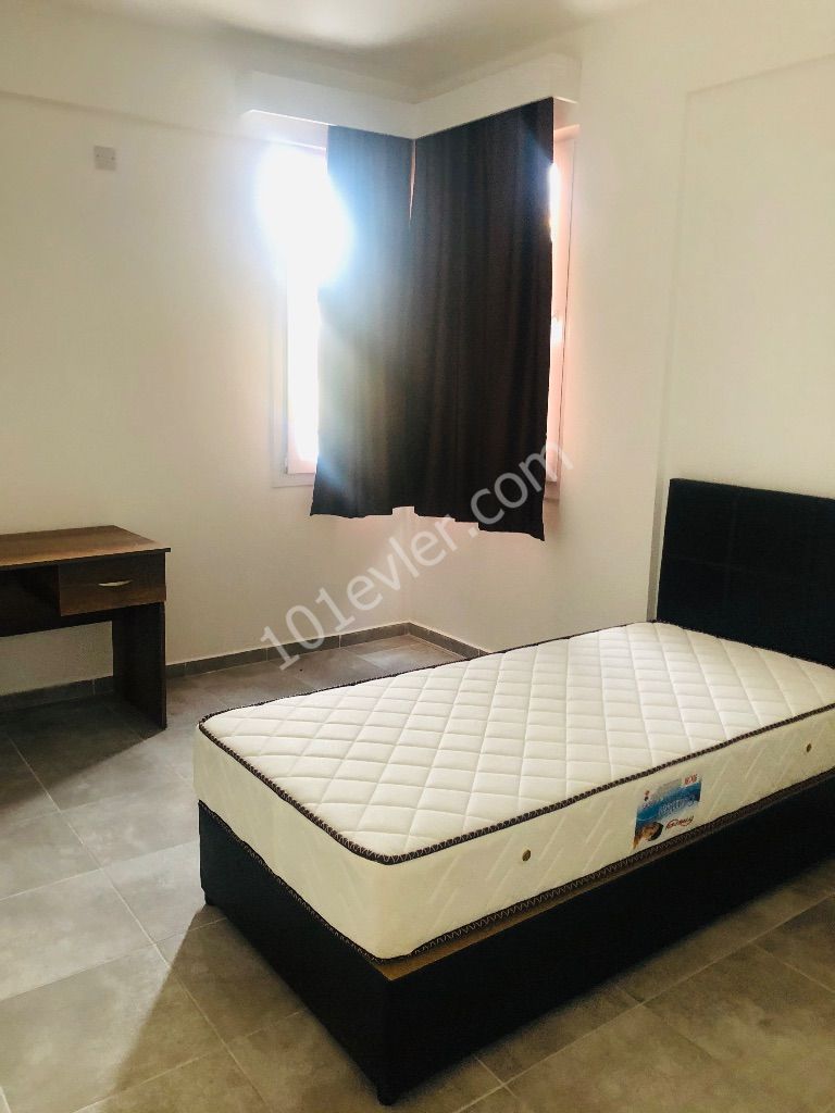 Flat To Rent in Hamitköy, Nicosia