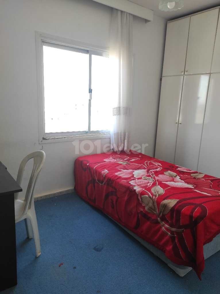 3+1 flat for rent in metehan 