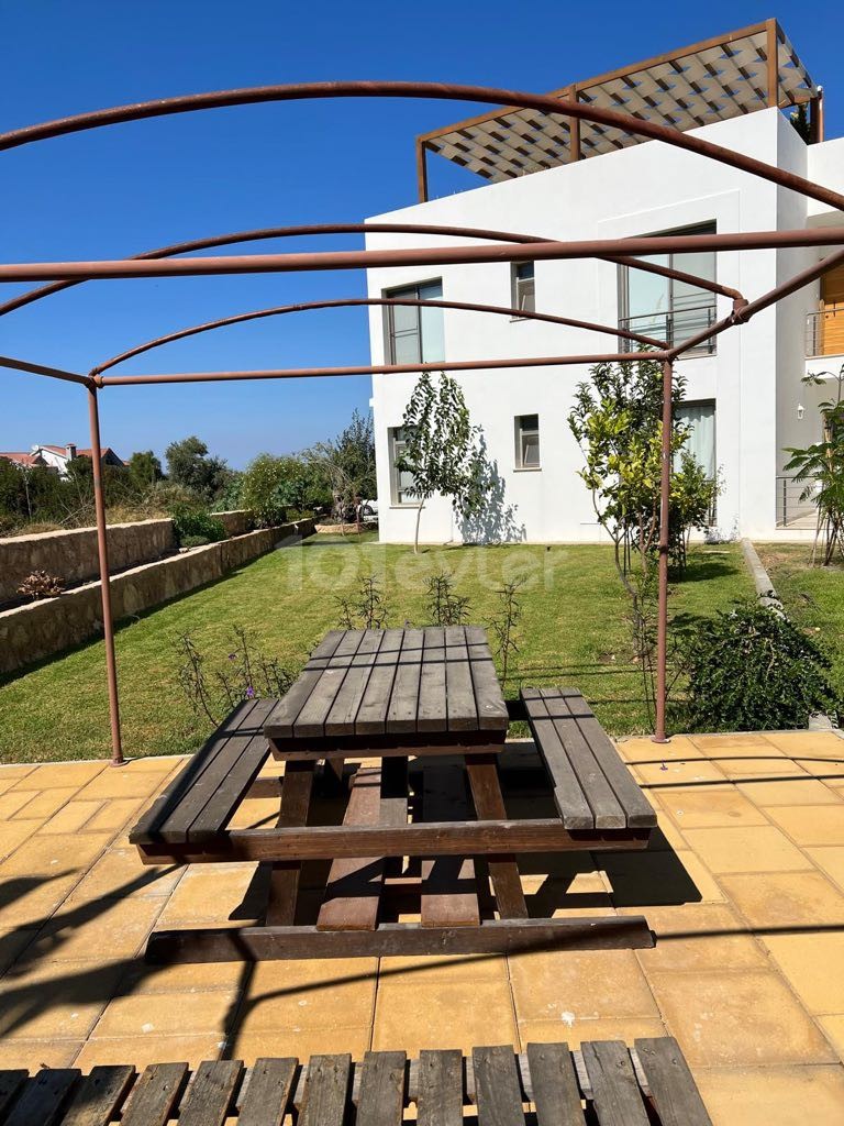 GROUND FLOOR APARTMENT WITH SHARED POOL FOR RENT IN OLIVE GROVE ** 