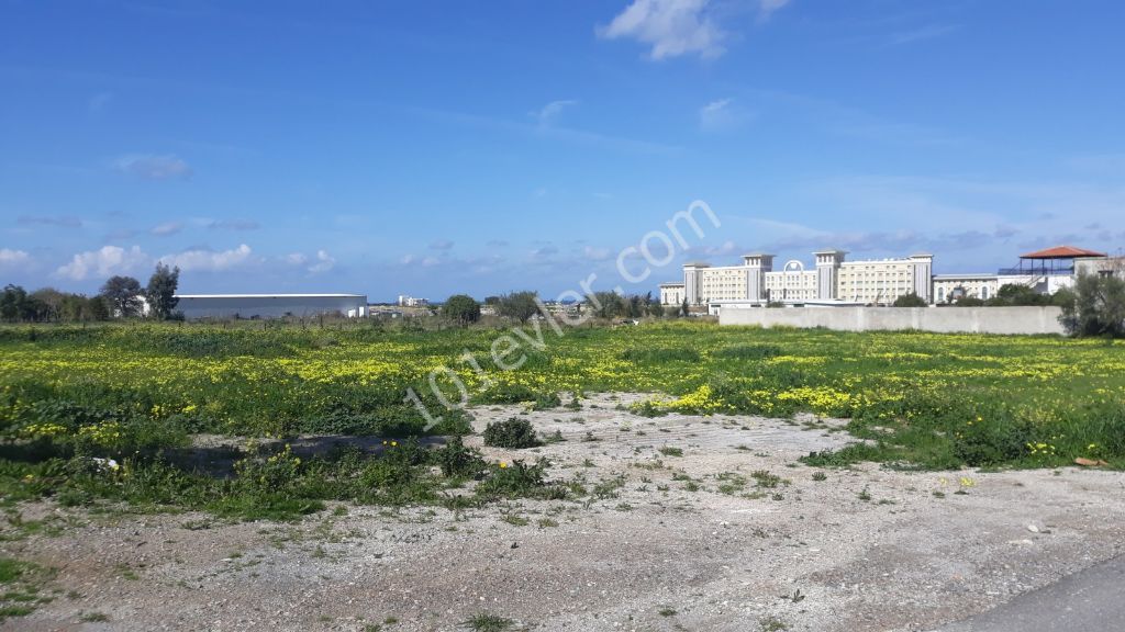 Flat For Sale in Alsancak, Kyrenia