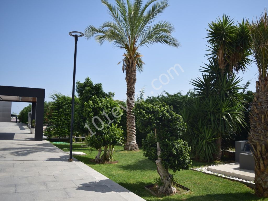 LUX APARTMENT FOR RENT IN KYRENIA