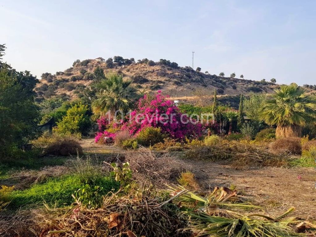 Cyprus Kyrenia Land For Sale / Alagadi