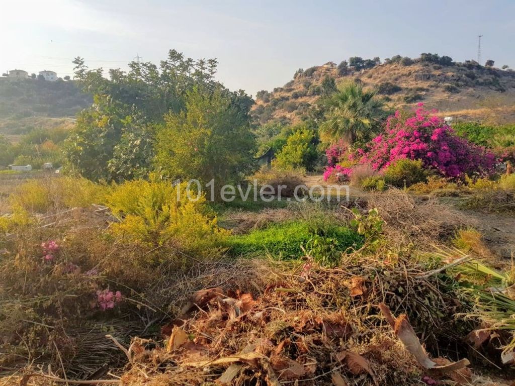 Cyprus Kyrenia Land For Sale / Alagadi