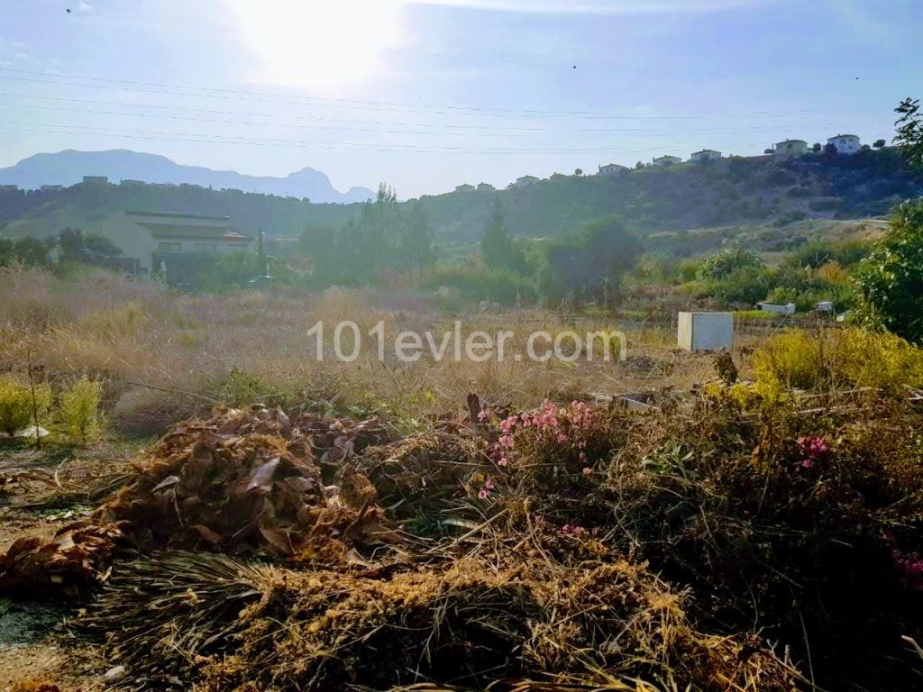 Cyprus Kyrenia Land For Sale / Alagadi