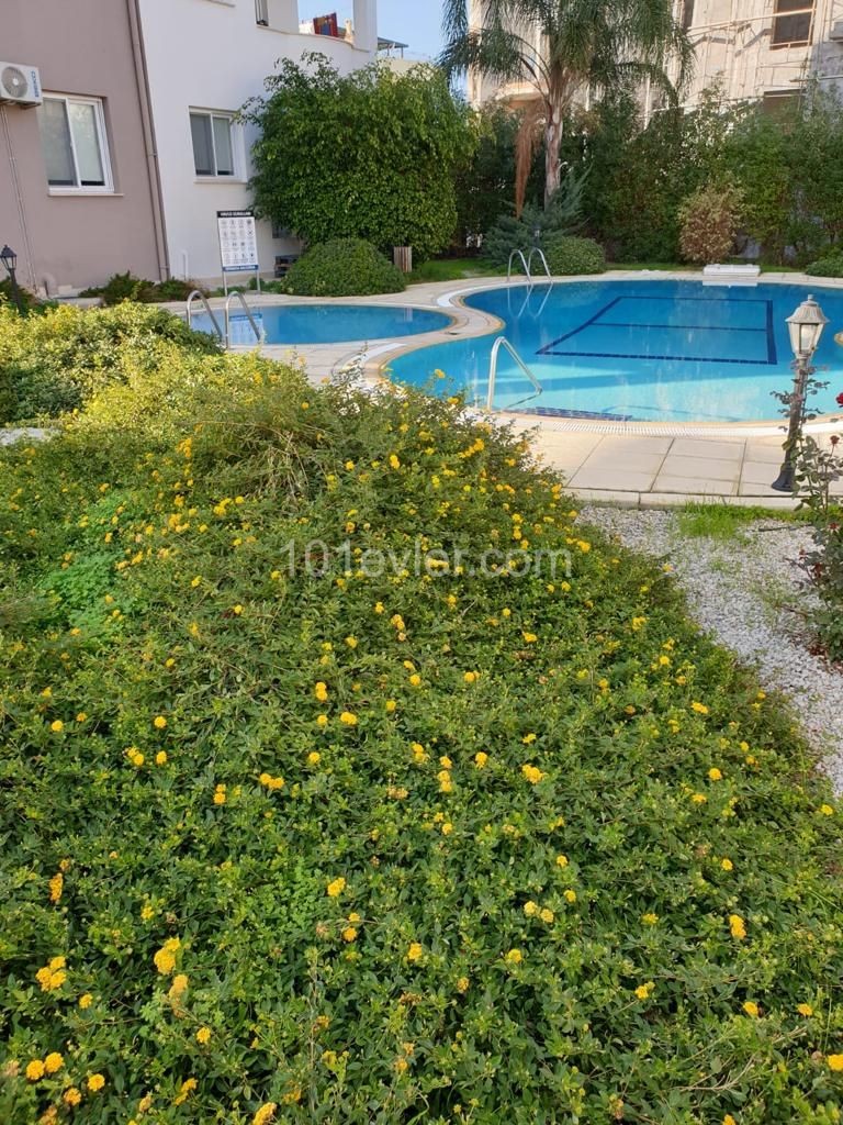 1 bedroom furnished apartment for rent in Alsancak 