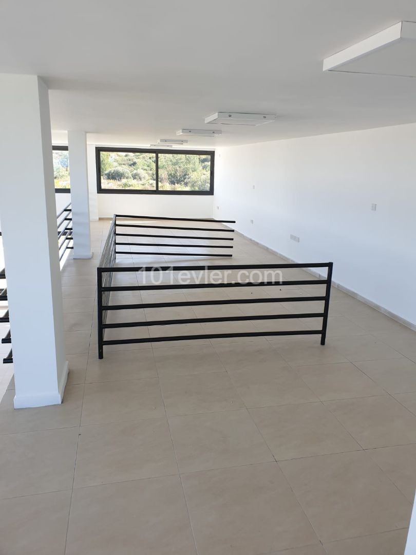 Business To Rent in Girne Merkez, Kyrenia