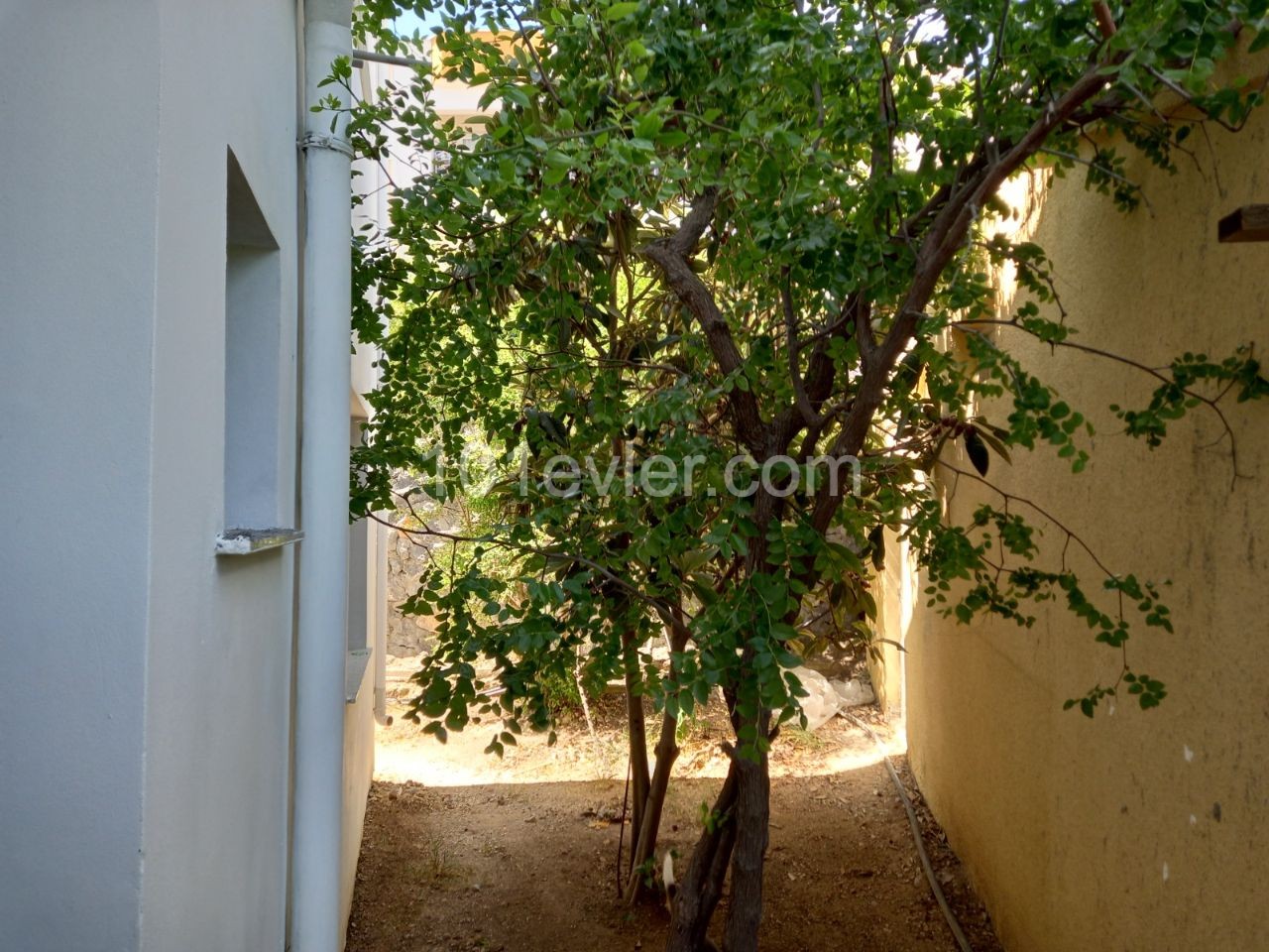 2 bedroom apartment for rent in Kyrenia, Alsancak / With garden