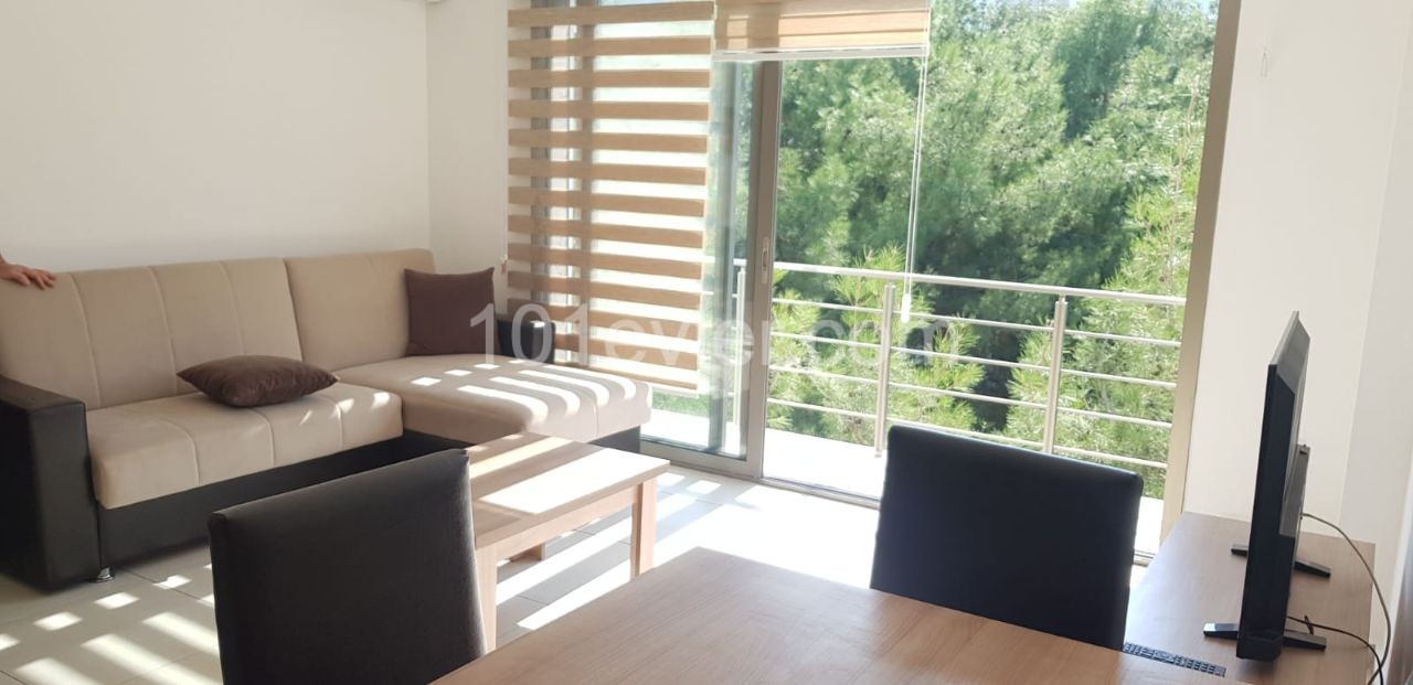 1 bedroom apartment for rent in Kyrenia Center