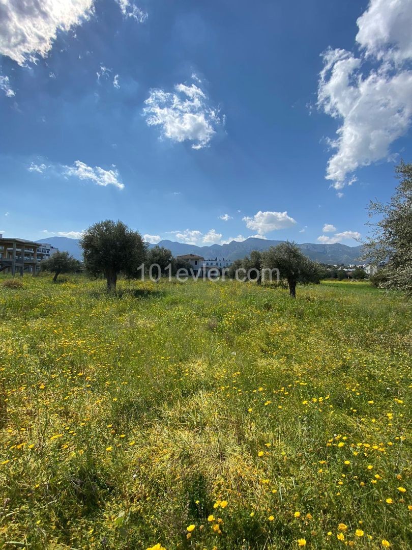 Girne Çatalköy Satılık Arsa / Dağ ve deniz manzaralı