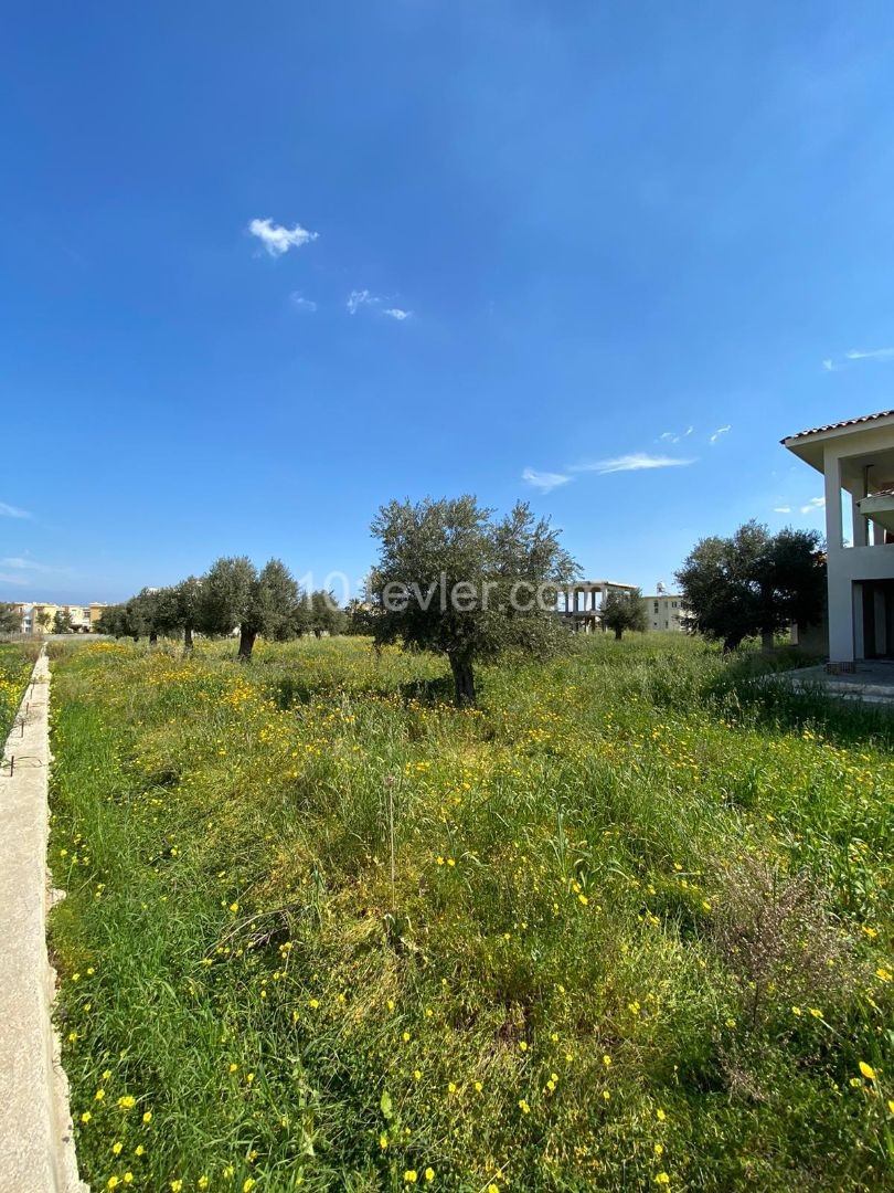 Girne Çatalköy Satılık Arsa / Dağ ve deniz manzaralı