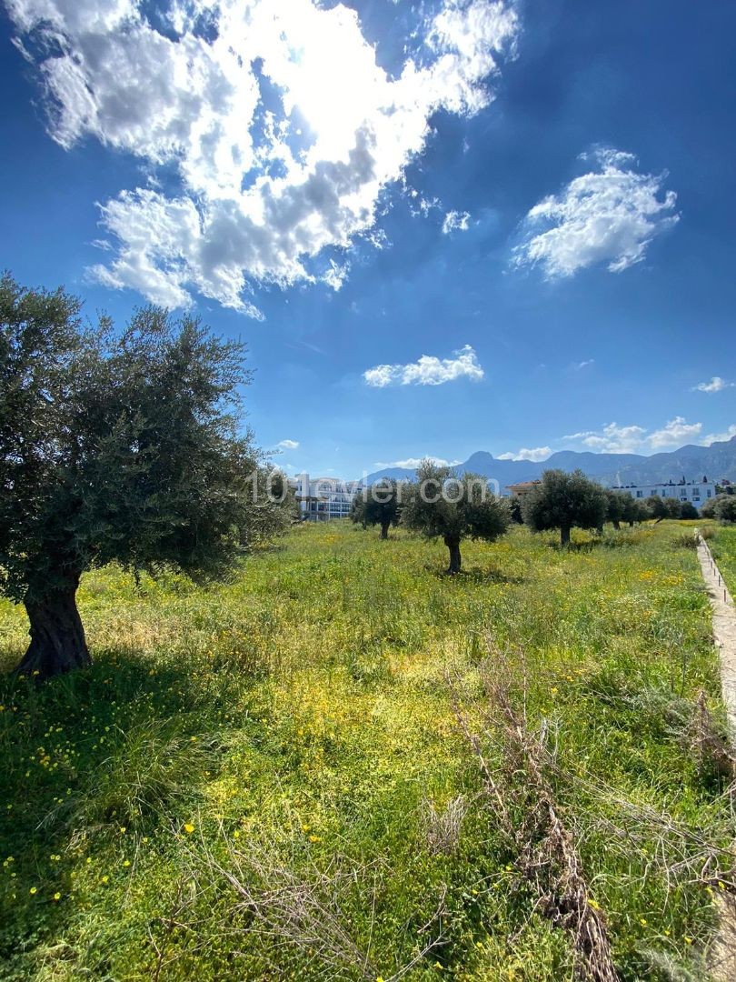 Girne Çatalköy Satılık Arsa / Dağ ve deniz manzaralı