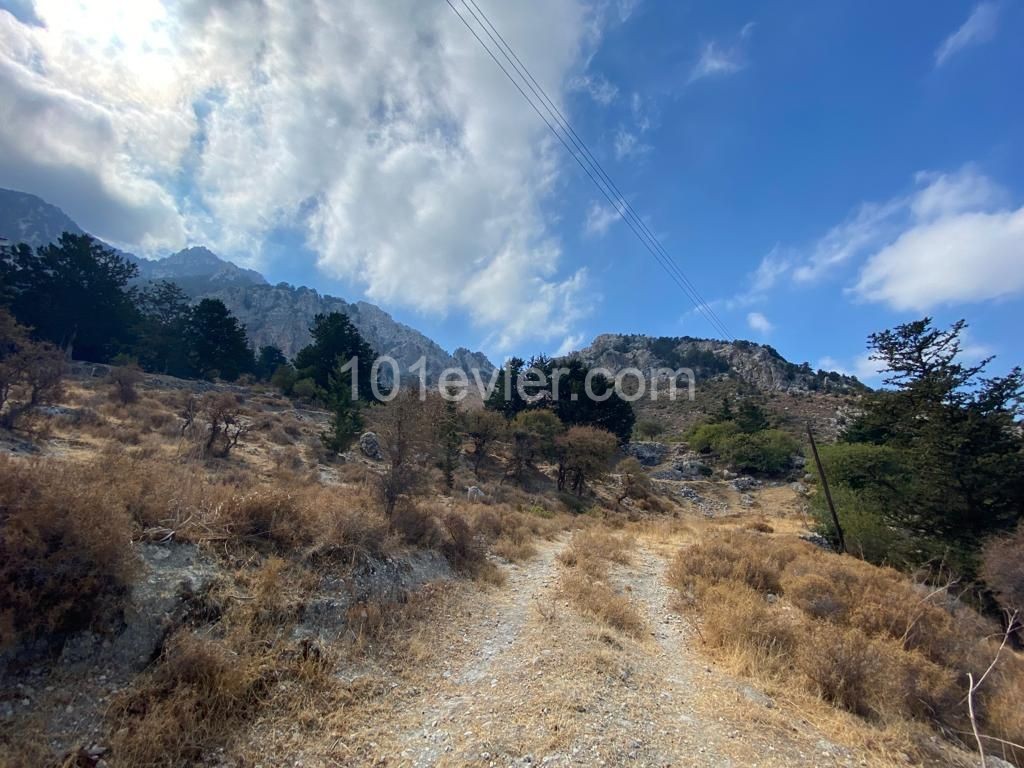 Plot of land for sale in Kyrenia, Karsiyaka