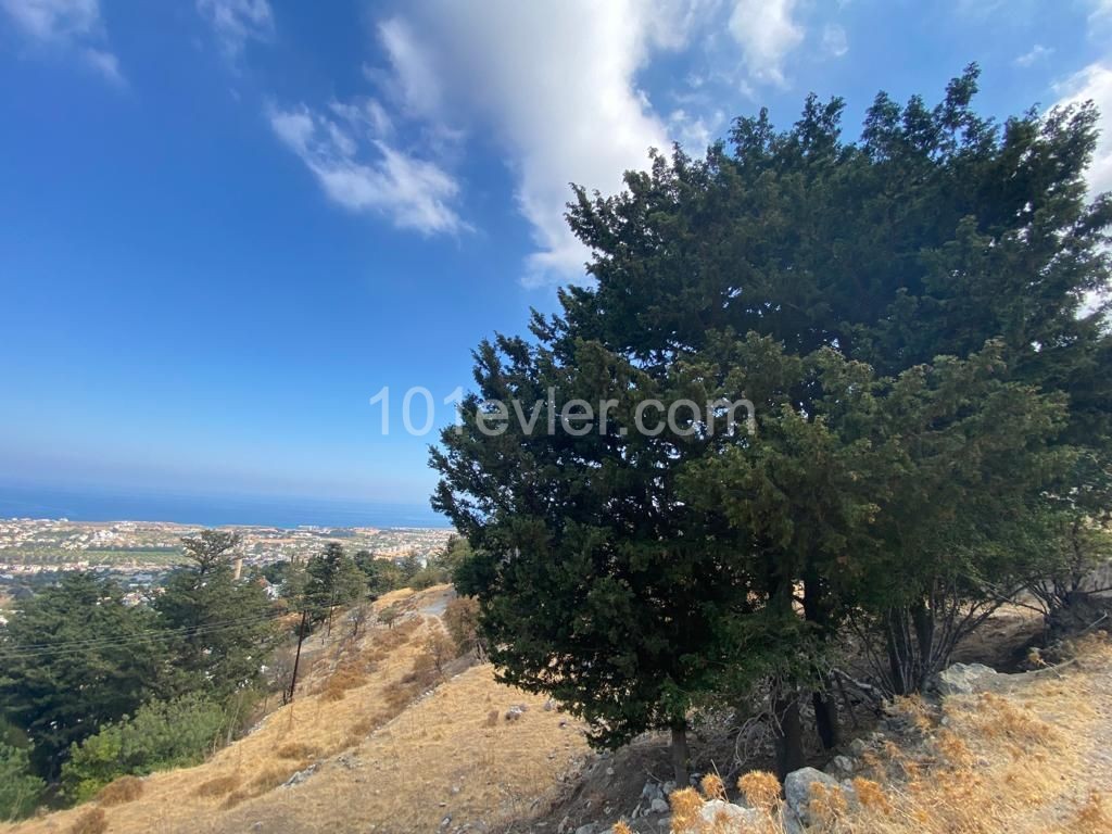 Grundstück Zum Verkauf In Kyrenia Karsiyaka / Meerblick ** 