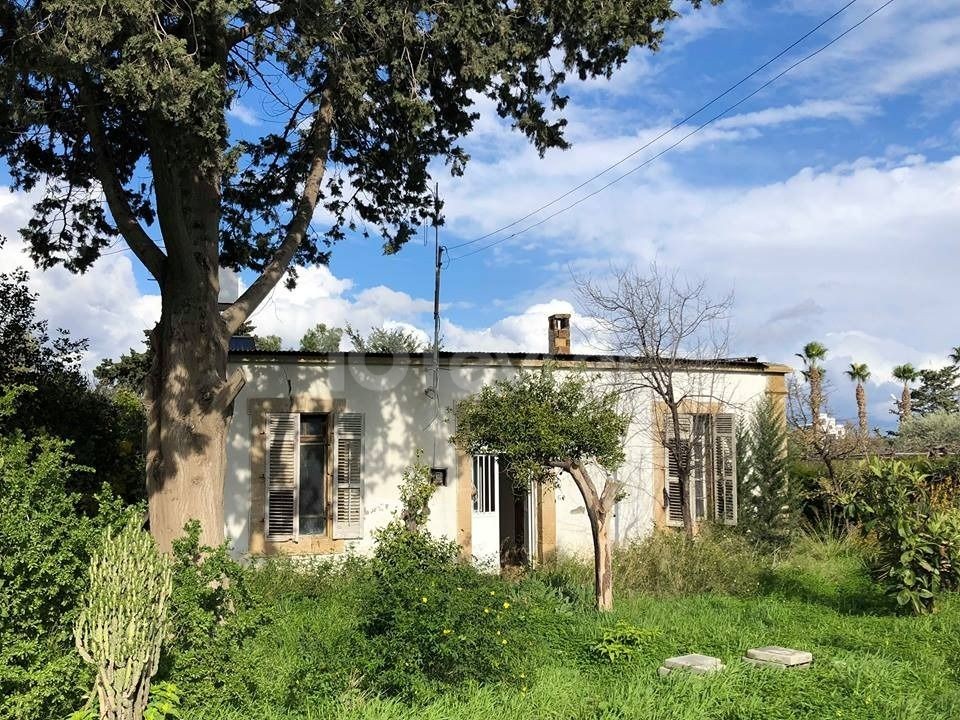 Plot for sale in Kyrenia, Bellapais