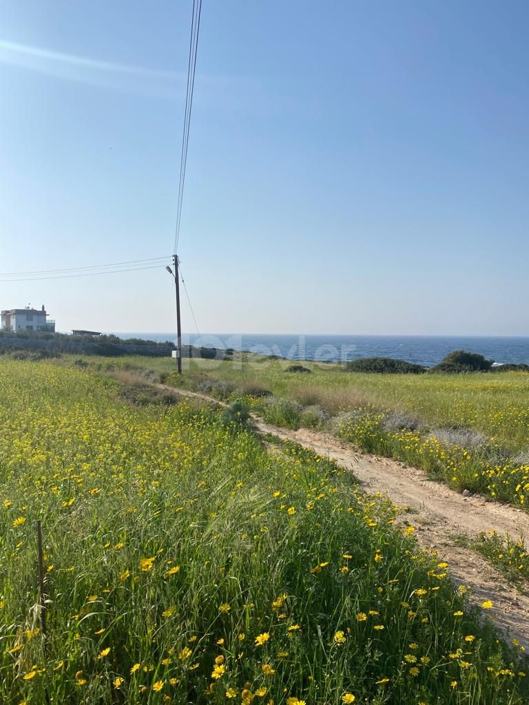 4 Hektar Land zu verkaufen 150m vom Meer entfernt in GAZİMAĞUSA/TATLISU 
