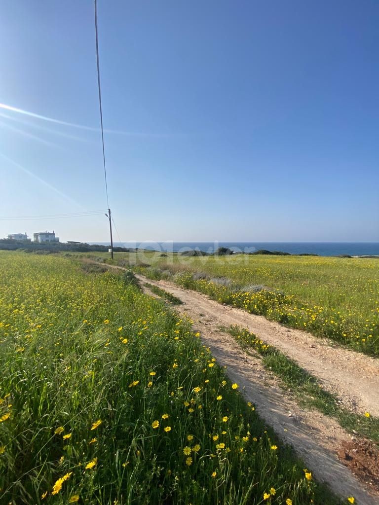 4 acres of land for sale in Gazimagusa/TATLISU, 150m from the sea