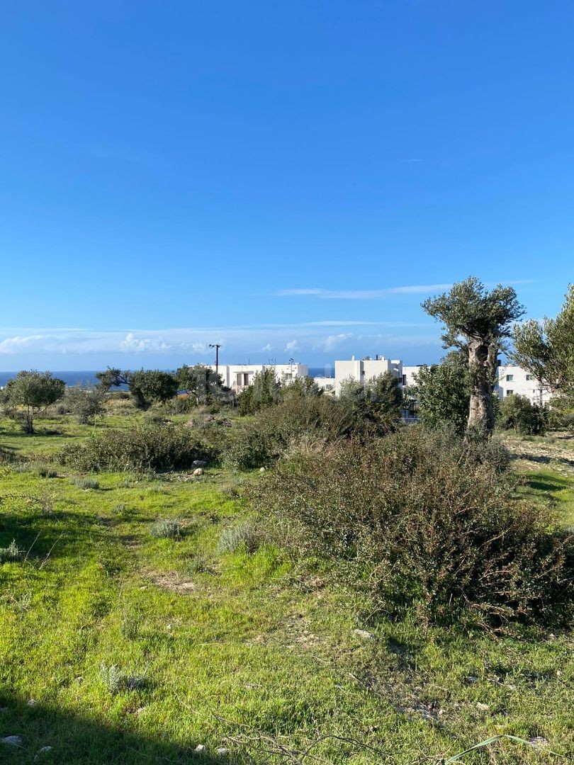 1989,42m2 land for sale in GIRNE/BAHÇELİ 