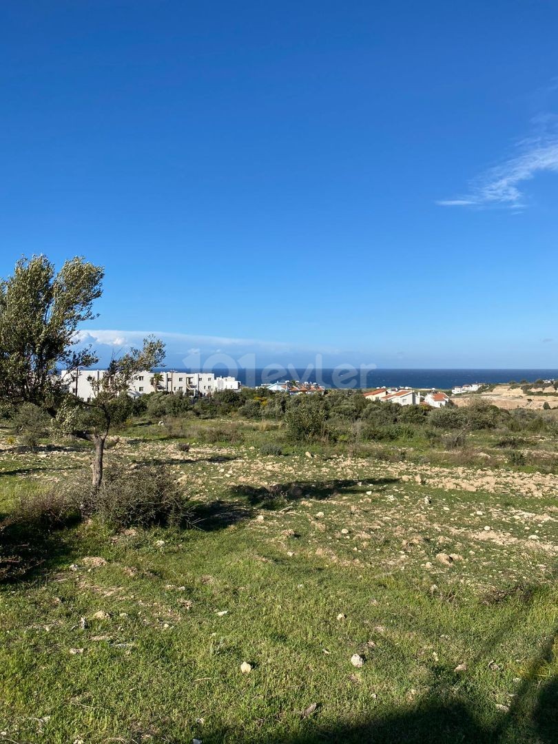 1989,42m2 land for sale in GIRNE/BAHÇELİ 