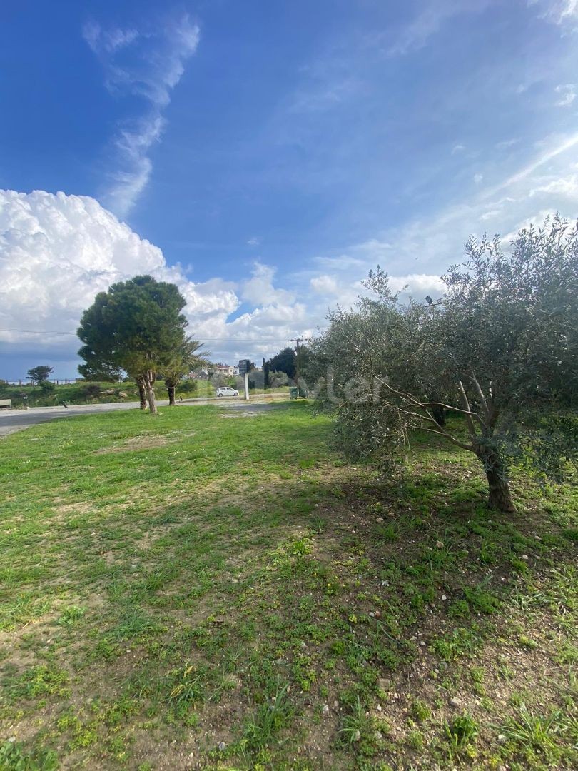 3 houses 2500ay2 land for sale in GIRNE/LAPTA