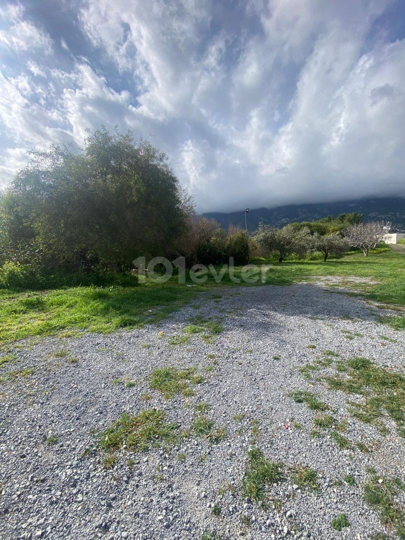 3 houses 2500ay2 land for sale in GIRNE/LAPTA