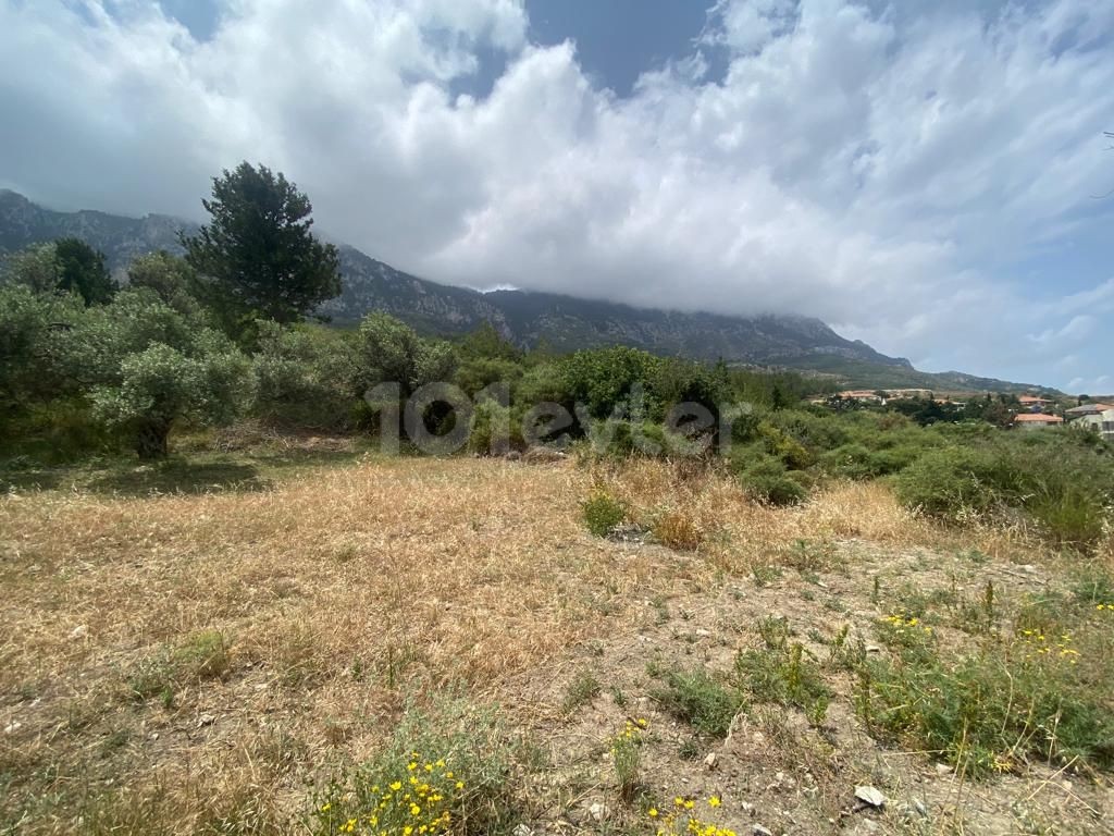  7 acres of land for sale in Kyrenia/Lapta mountain and sea view