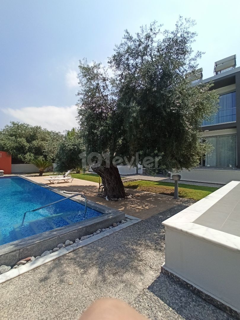 Furnished Flats for Rent 1+1/2+1/3+1 Girne-Ozanköy