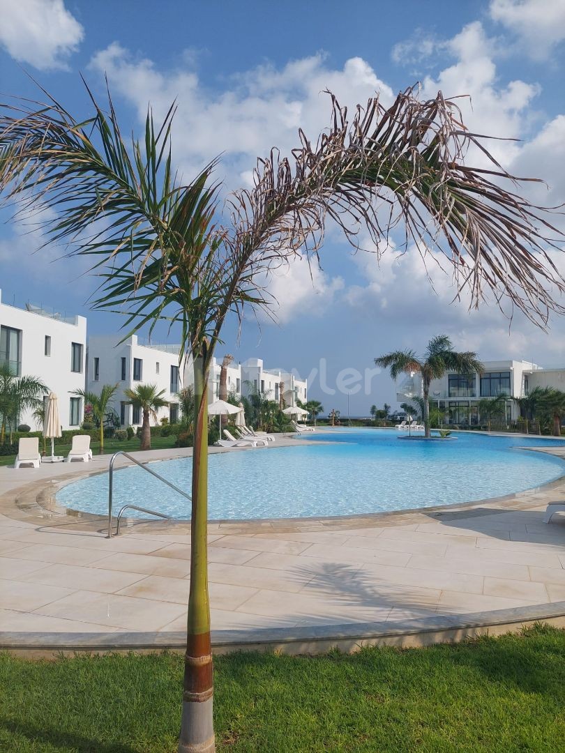 Immaculate 2 Bed Apartment with Pool view 