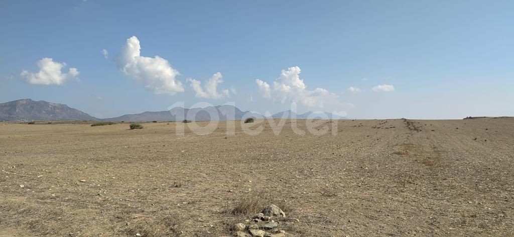 Agricultural land for sale in Kyrenia/Dağyolu (fota)
