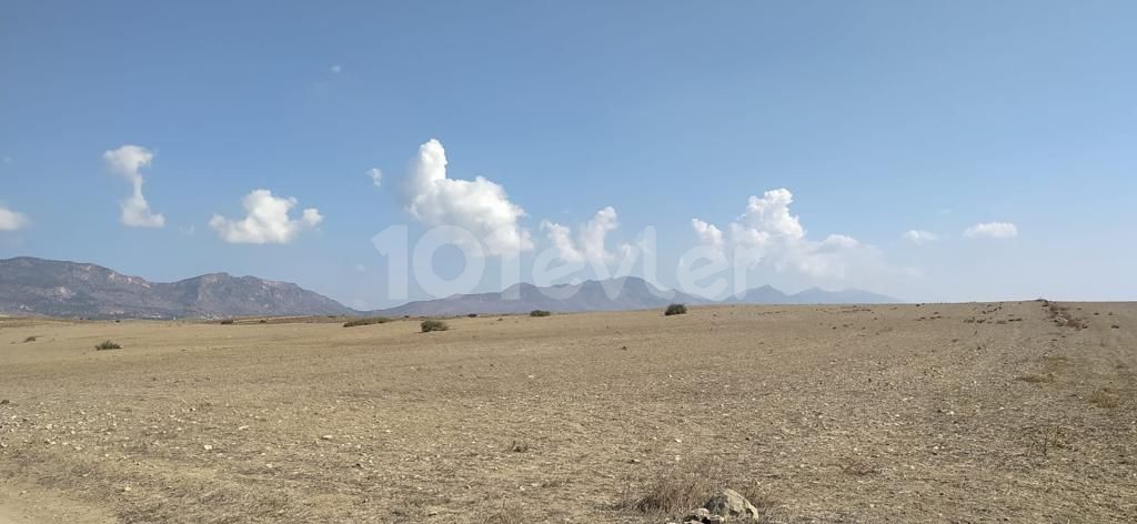 Girne/Dağyolu (fota)'da satılık tarımsal arazi 