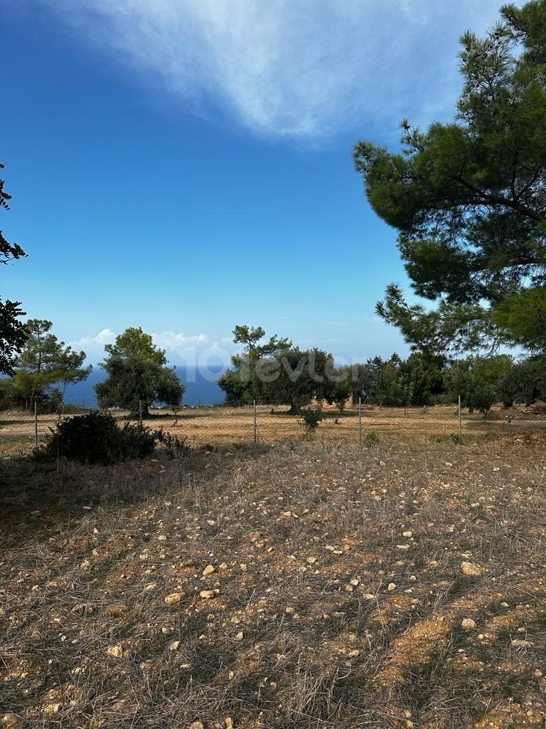 6 acres of 1 evlek land for sale in Girne/Karaağaç