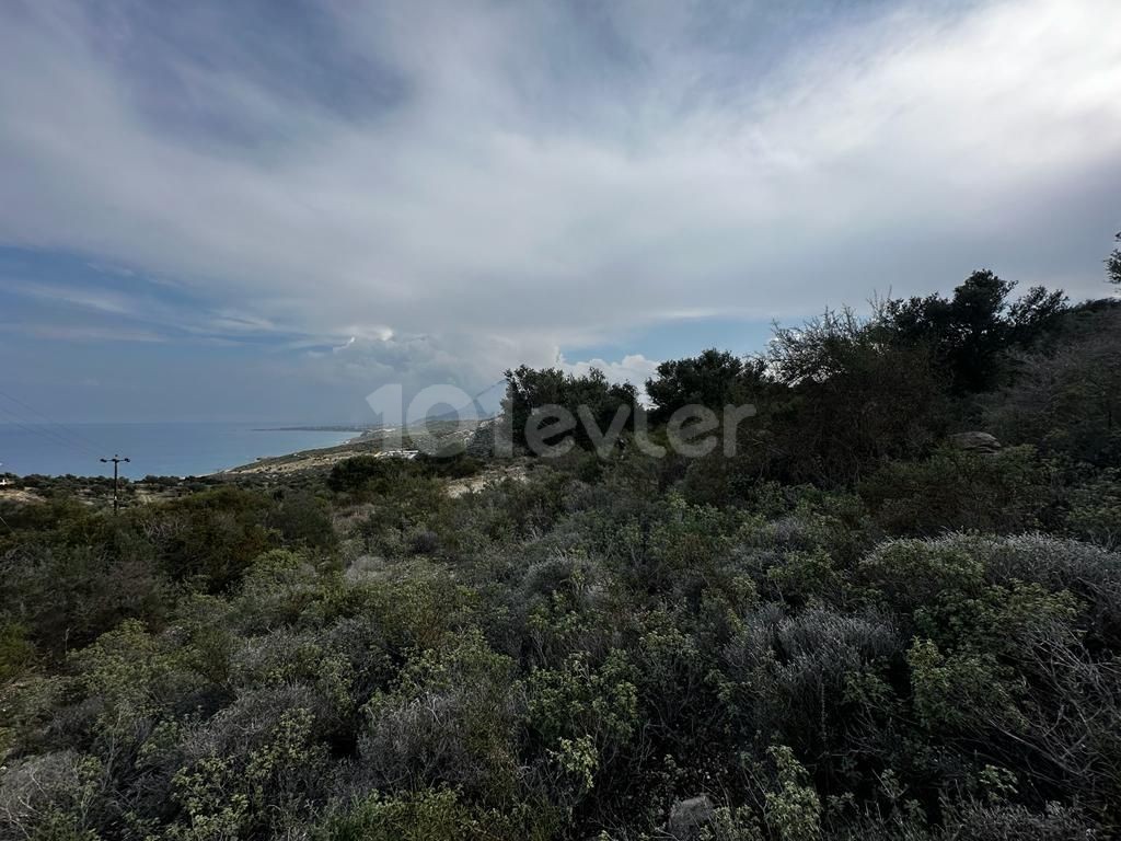 Продается земельный участок 18400м2 с великолепным видом на море в Кирении/Каяларе