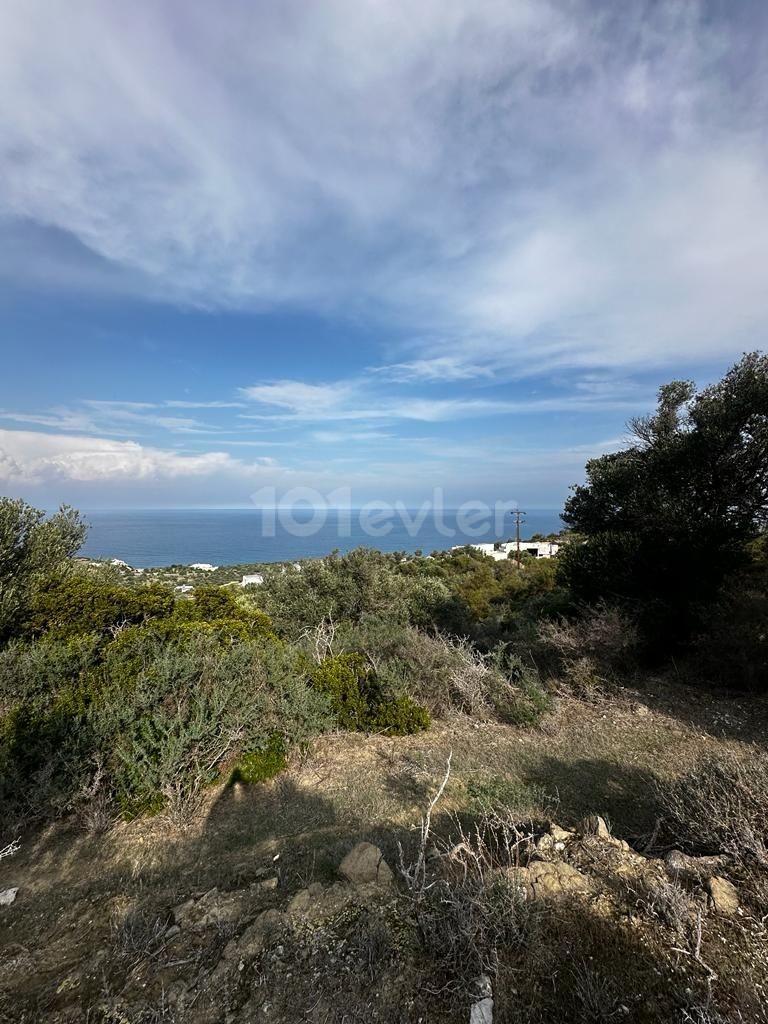 Продается земельный участок 18400м2 с великолепным видом на море в Кирении/Каяларе