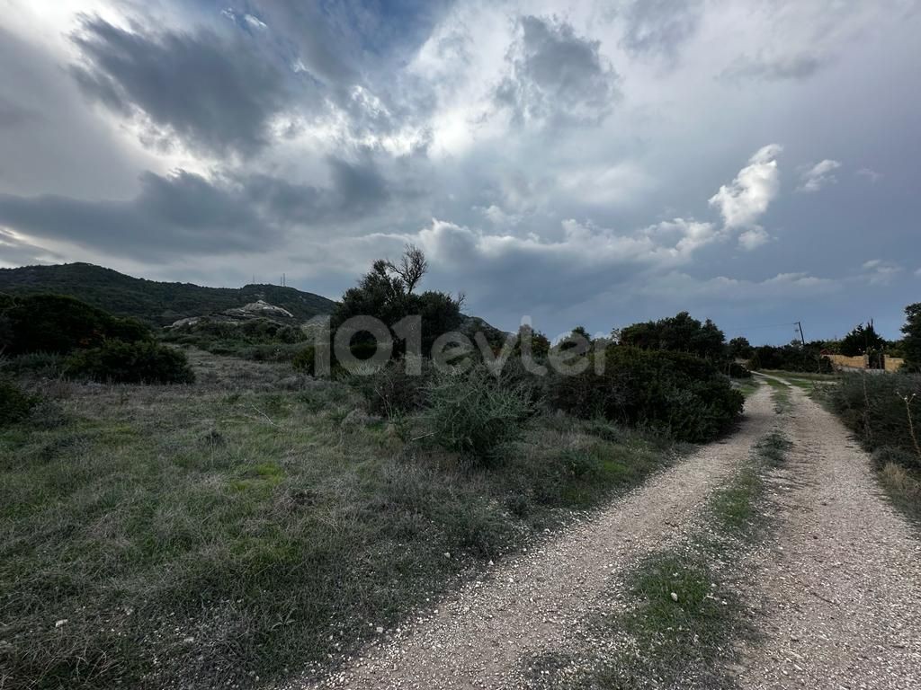 2575m2 land for investment in Kyrenia/Kayalar