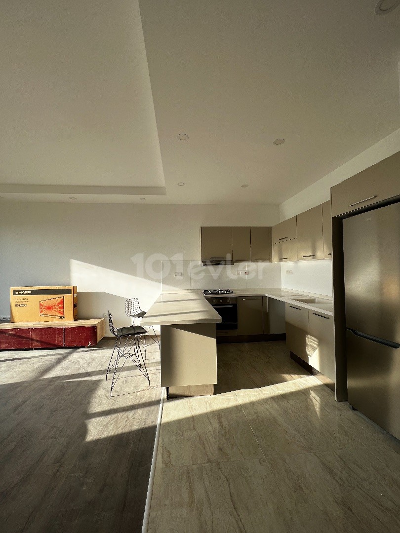 Spacious 2+1 flat in Guzelyurt 