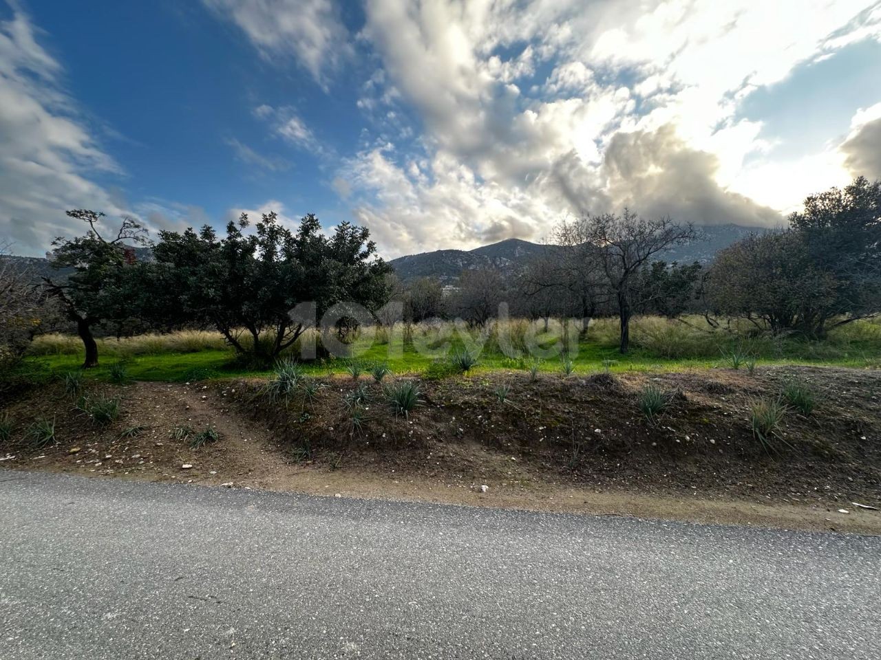 3382m2 land with Turkish title for sale in GİRNE/OZANKÖY