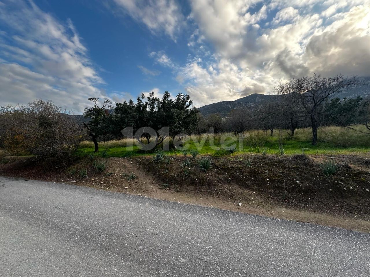 3382m2 land with Turkish title for sale in GİRNE/OZANKÖY
